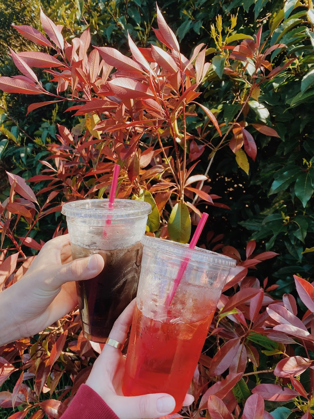 Buffalo Espresso | 15109 35th Ave SE, Bothell, WA 98012, USA | Phone: (425) 338-7808