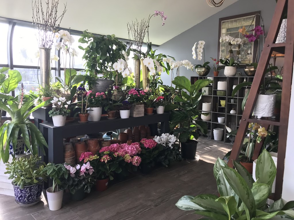 Blooming Buds | 58 Halstead Ave, Harrison, NY 10528, USA | Phone: (914) 381-0333
