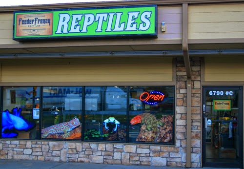 Feeder Frenzy Reptiles | 6790 Sheridan Boulevard, Arvada, CO 80003, USA | Phone: (303) 657-2757