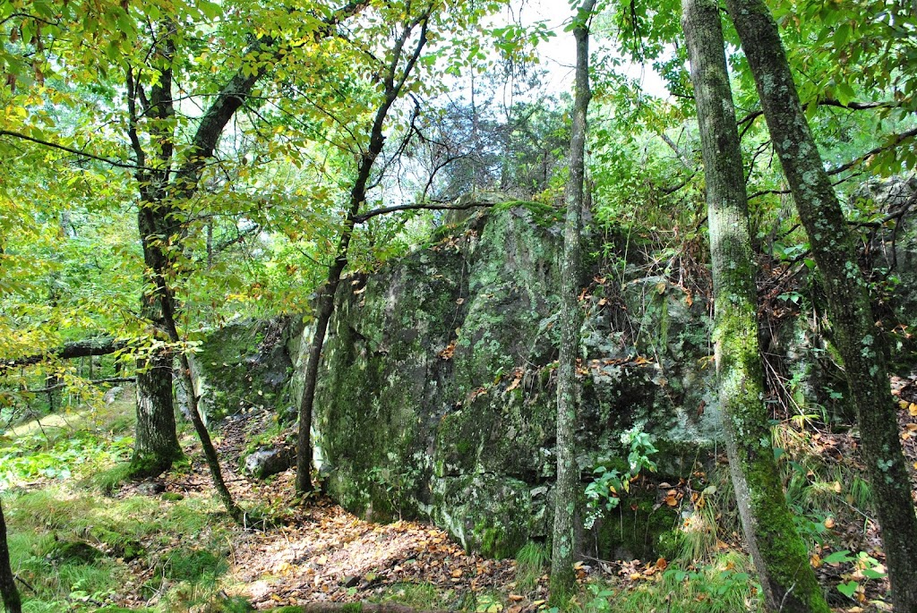 Osceola Bedrock Glades State Natural Area | County Rd S, Osceola, WI 54020, USA | Phone: (888) 936-7463