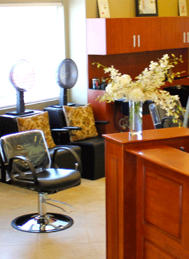 Antinas Salon & Boutique | 501 W Main St, Carnegie, PA 15106, USA | Phone: (412) 276-6767