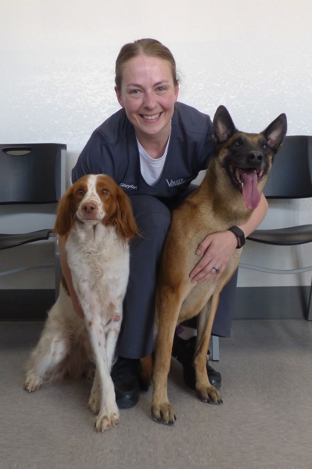 Valley Veterinary Clinic | 9255 Lemmon Dr, Reno, NV 89506, USA | Phone: (775) 683-9255