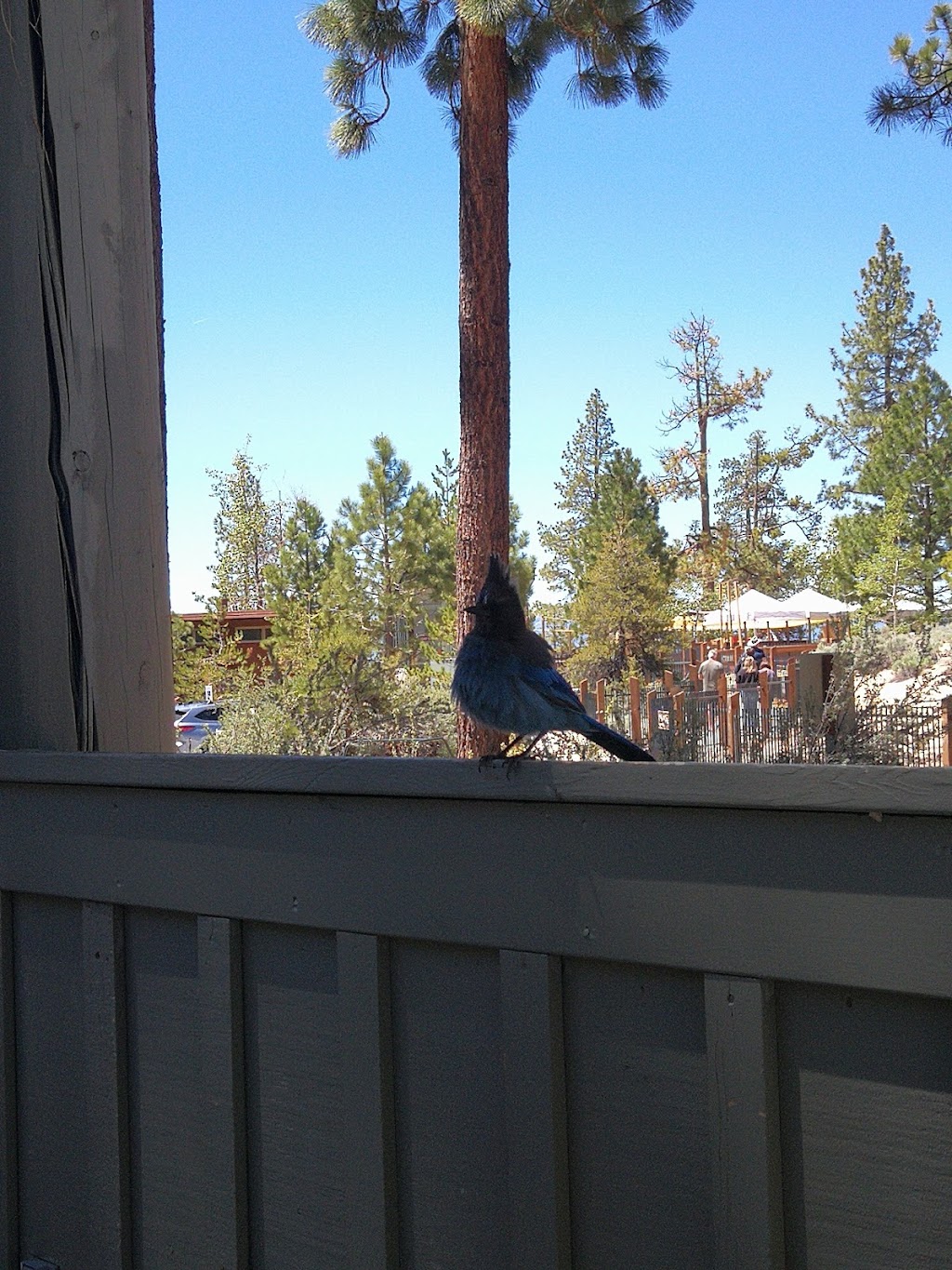 Sand Harbor Visitor Center | Sand Harbor Visitors Center, Carson City, NV 89704, USA | Phone: (775) 831-0494