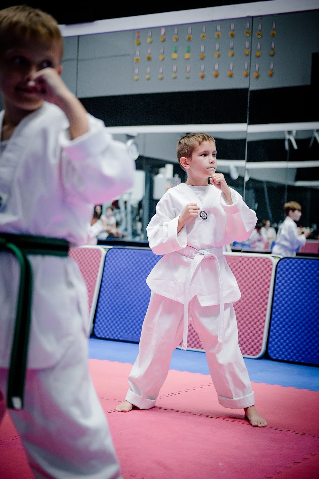 Panthers Taekwondo | 267 Cherry Ln, Airmont, NY 10952, USA | Phone: (845) 543-8009