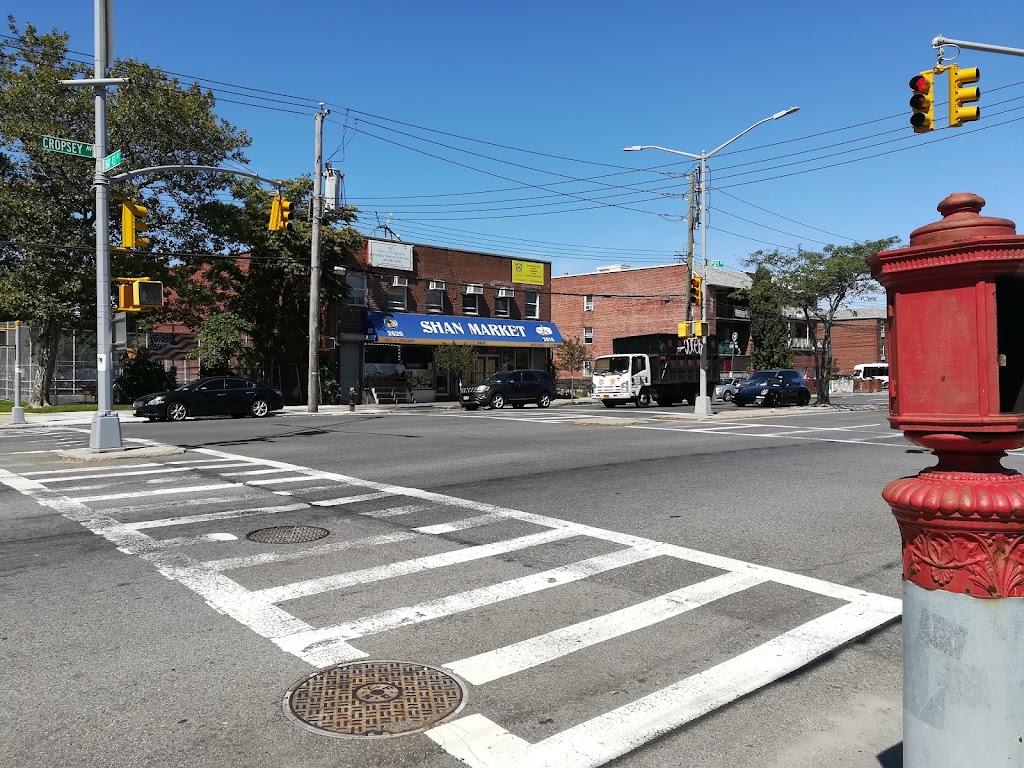 Shan Market | 2620 Cropsey Ave, Brooklyn, NY 11214, USA | Phone: (718) 265-4082