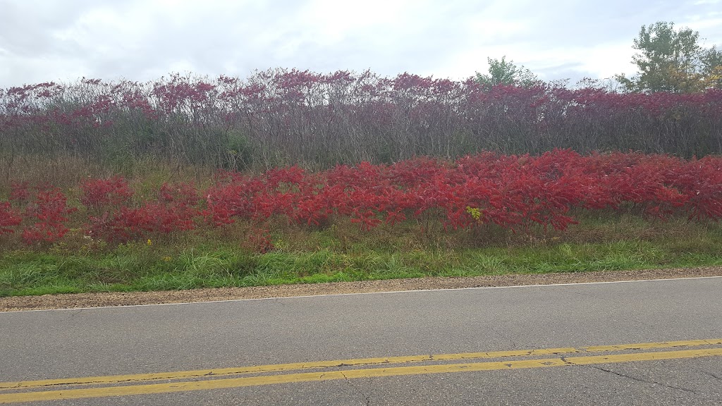 York Prairie State Natural Area | Blanchardville, WI 53516, USA | Phone: (888) 936-7463