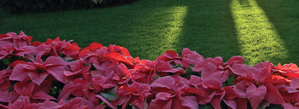 JT Landscaping and Supply | 7231 Noblestown Rd, Oakdale, PA 15071, USA | Phone: (724) 693-2793
