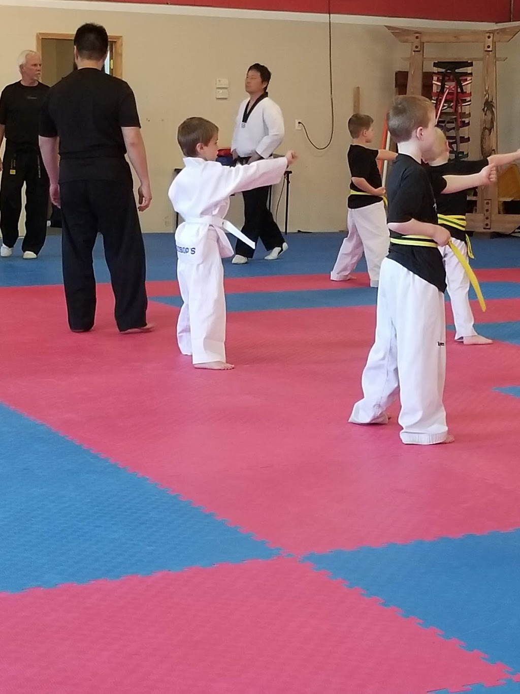 WooSops Taekwondo | 516 Main St, Fenton, MO 63026, USA | Phone: (314) 604-7623