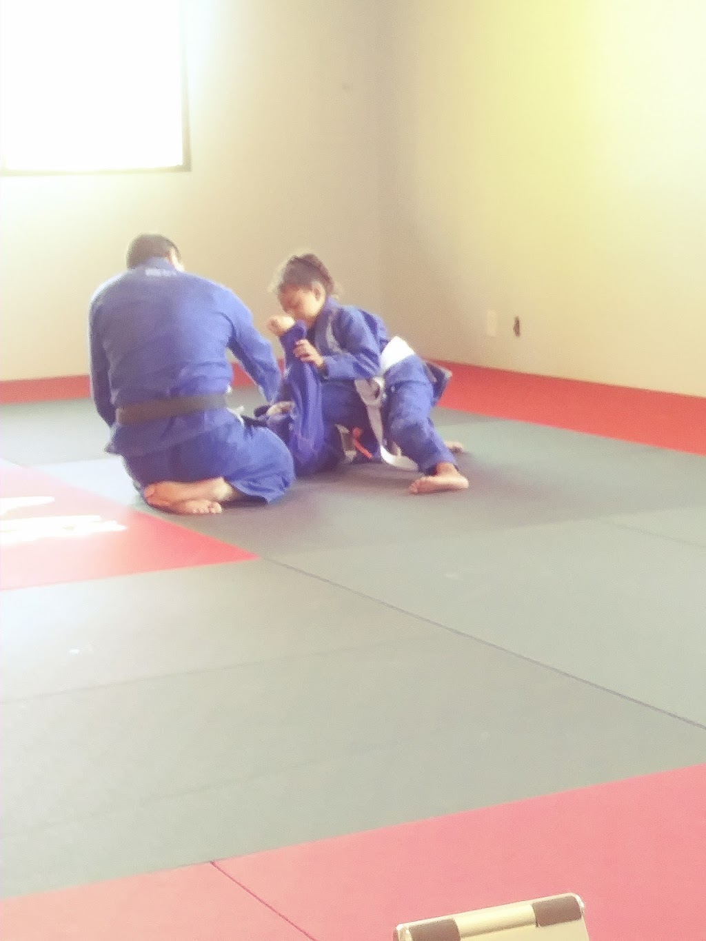 Jiu Jitsu Therapy | 734 E Lake Ave STE 21, Watsonville, CA 95076, USA | Phone: (831) 888-7616