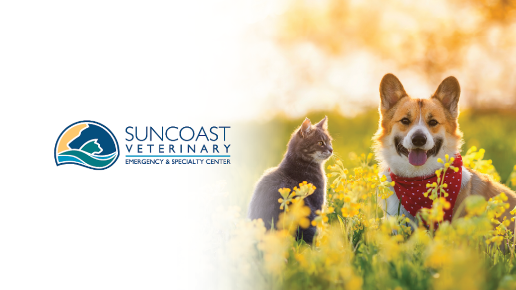 Suncoast Veterinary Emergency & Specialty Center | 4937 S Tamiami Trail, Sarasota, FL 34231, USA | Phone: (941) 929-1818