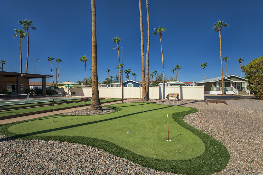 Royal Palm MHC & RV Park | 2050 W Dunlap Ave, Phoenix, AZ 85021, USA | Phone: (602) 943-5833