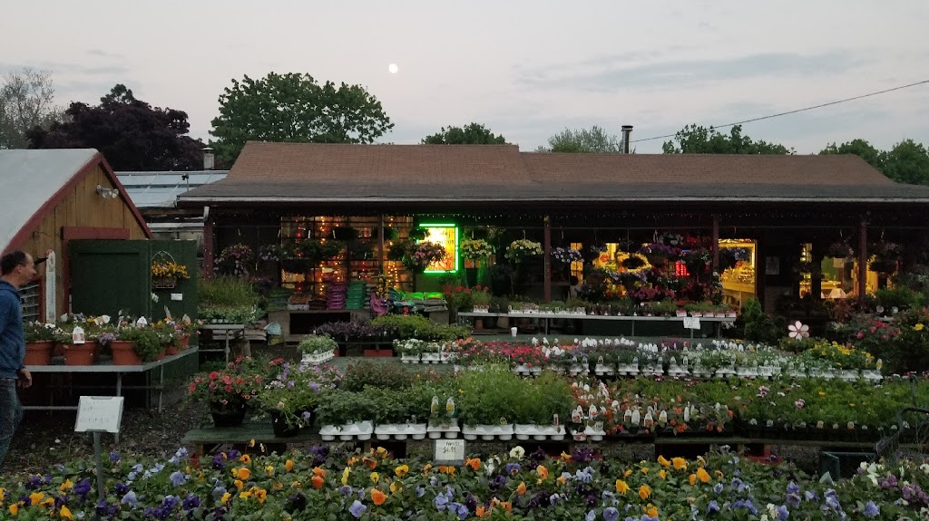 Little Brook Florist Farm & Garden Center | 190 Lincoln Ave, Saugus, MA 01906, USA | Phone: (781) 231-9663