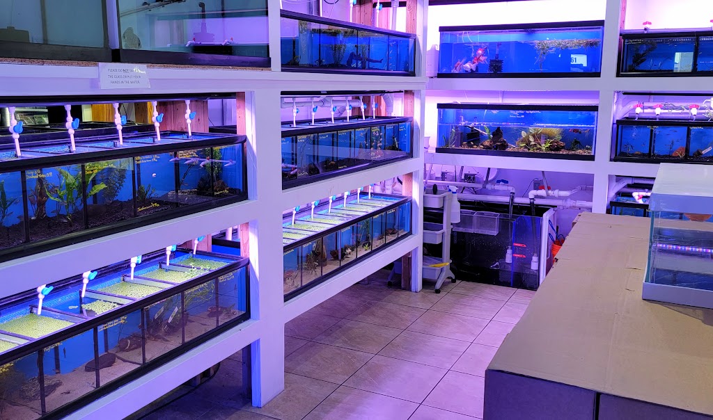 The Aquarium Shop Westbury | 461 Old Country Rd, Westbury, NY 11590, USA | Phone: (516) 333-0682