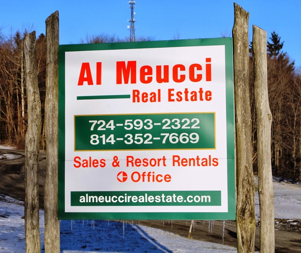 Al Meucci Real Estate - Michele Meucci | 2506 County Line Rd, Champion, PA 15622, USA | Phone: (814) 352-7669