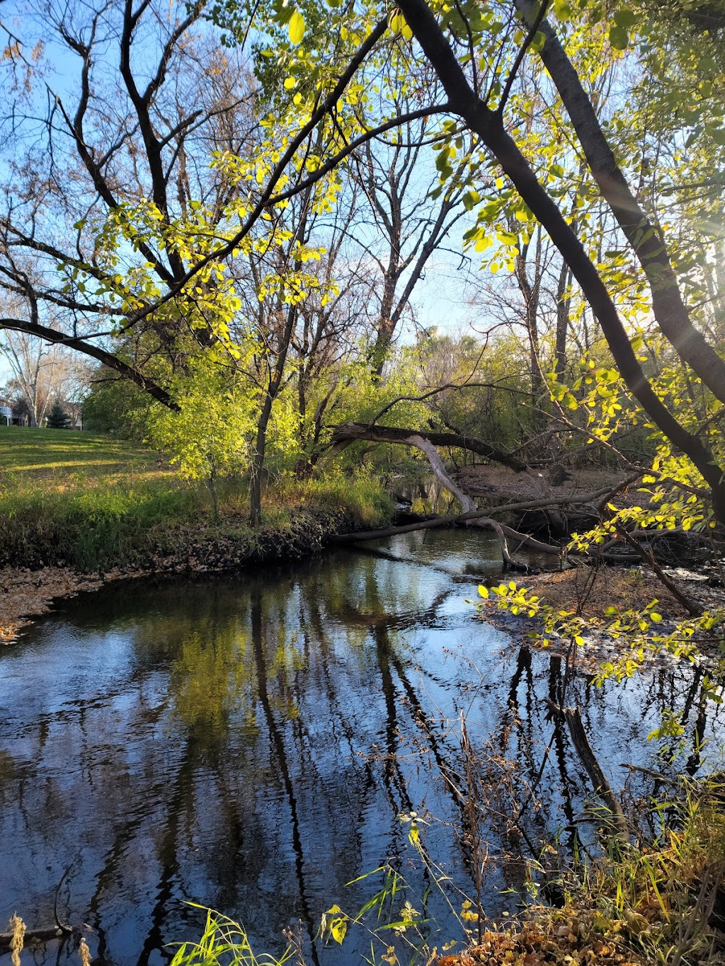 Rambling River Park | 17 Elm St, Farmington, MN 55024, USA | Phone: (651) 280-6800