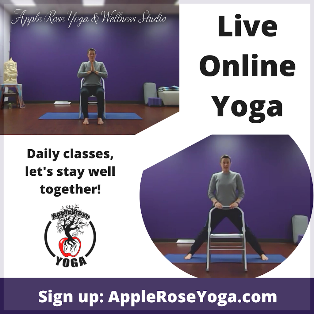 Apple Rose Yoga & Wellness Studio | 45 E Emerson Plaza W, Emerson, NJ 07630 | Phone: (201) 383-5830