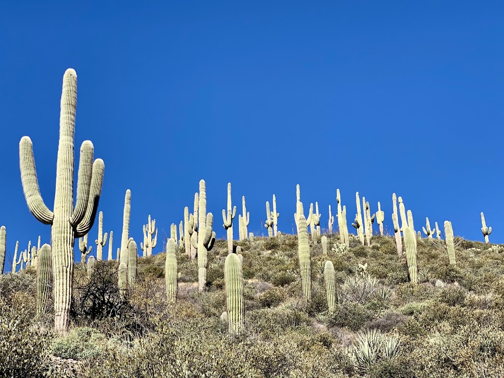 The Ranch at Desert Mountain | Scottsdale, AZ 85262, USA | Phone: (480) 595-4000