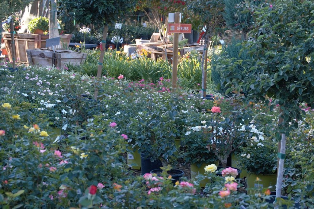 Moon Valley Nurseries | 36705 Briggs Rd, Murrieta, CA 92563, USA | Phone: (951) 616-1118