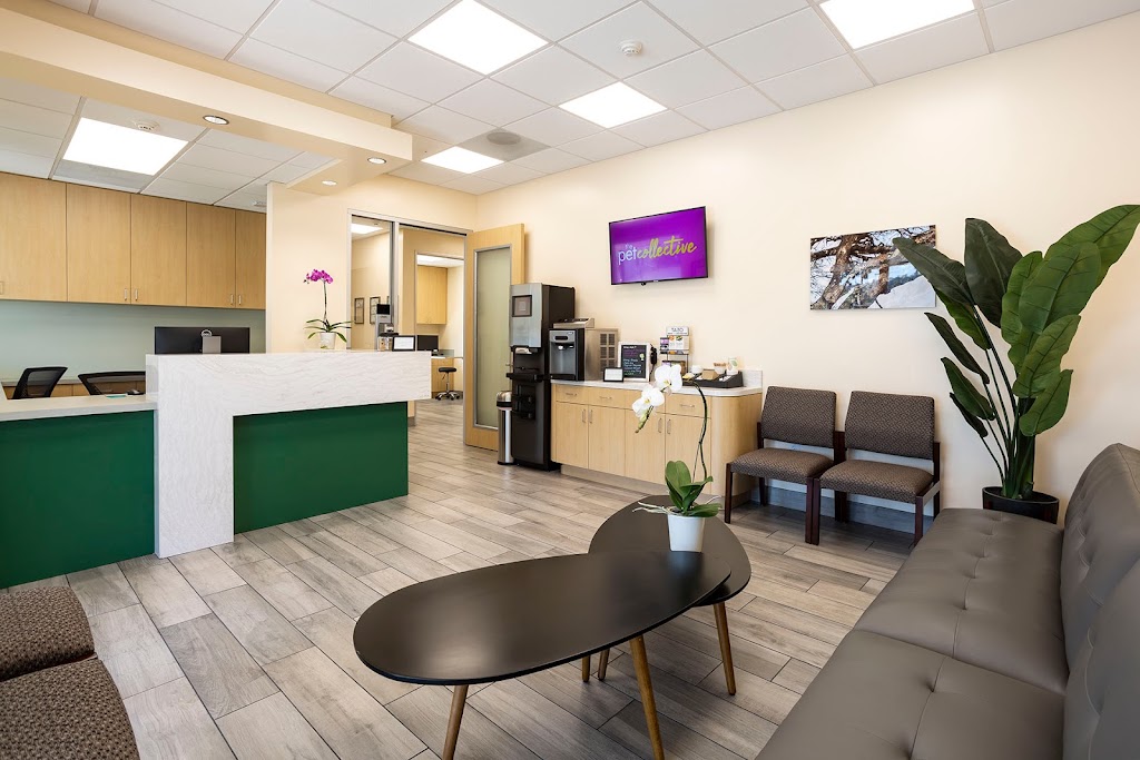 Animal Orthopedic Center | 446 N Lakeview Ave, Anaheim, CA 92807, USA | Phone: (714) 701-6720