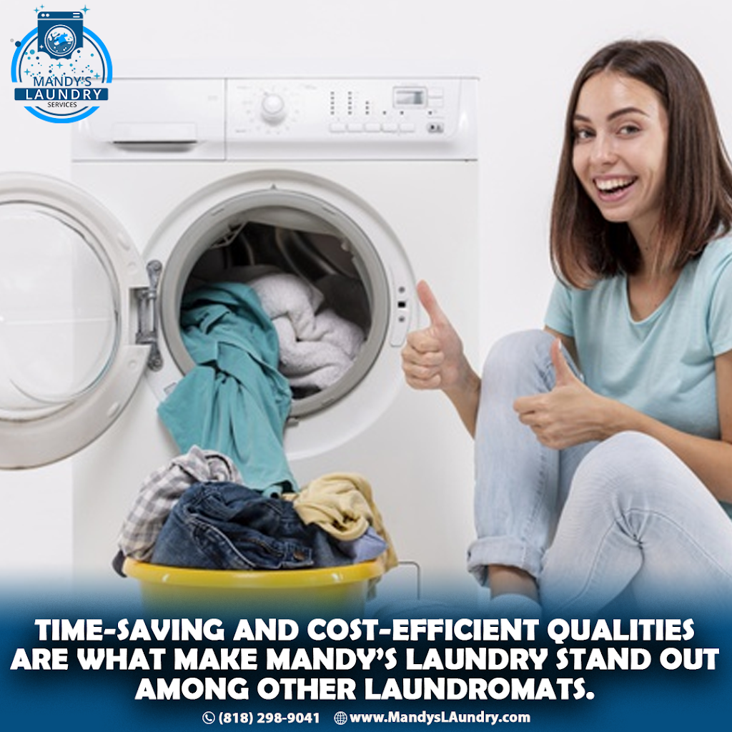 Coin Laundry | Saticoy St, Panorama City, CA 91402 | Phone: (818) 298-9041