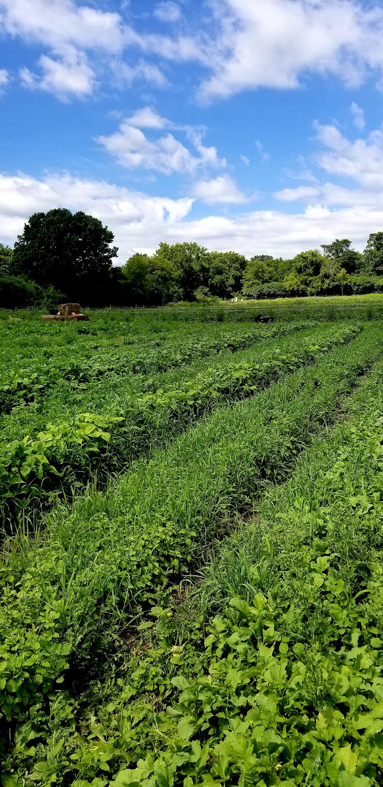 Wellspring Education Center & Organic Farm | 4382 Hickory Rd, West Bend, WI 53090, USA | Phone: (262) 675-6755