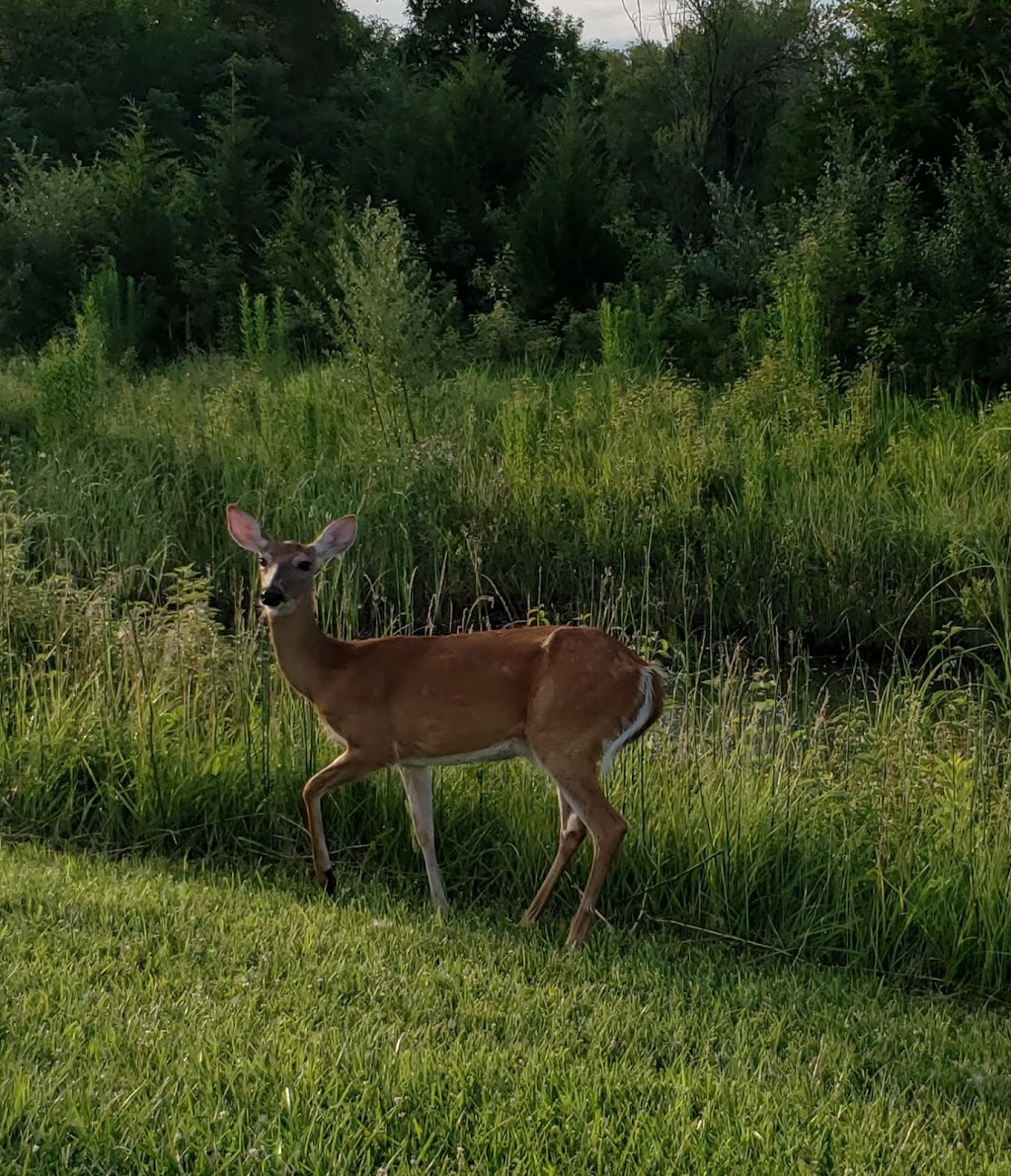 Lake Manawa State Park | 1100 S Shore Dr, Council Bluffs, IA 51501 | Phone: (712) 366-0220