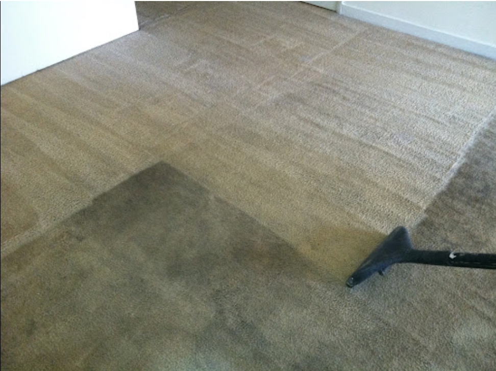 7mscarpetcleaningservices | 2444 Suttonwood Way NE, Buford, GA 30519, USA | Phone: (404) 499-6602