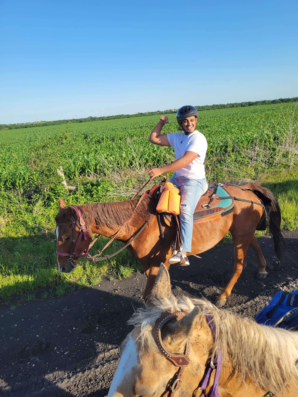 Chisholm Trail Rides | 1068 Frontier Trail, Rockwall, TX 75032, USA | Phone: (214) 584-8698