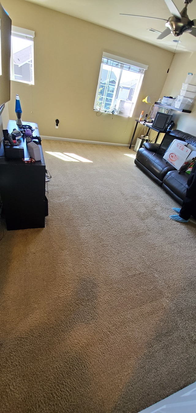 Crystal Carpet Care | 13701 24th St E c10, Sumner, WA 98390, USA | Phone: (253) 952-3396