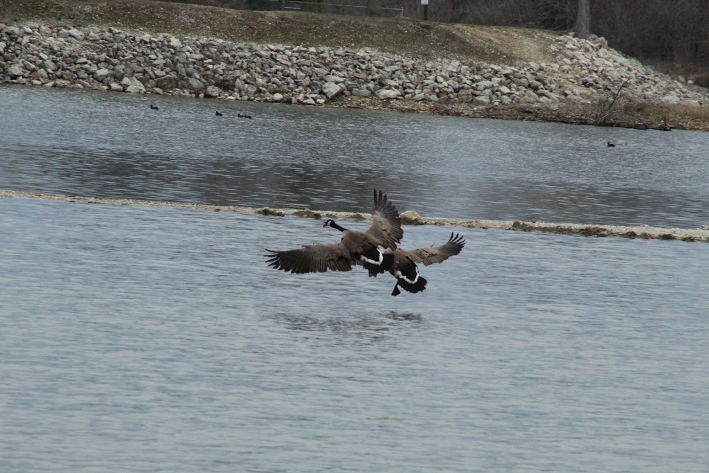 Indian Grove Campground | 15025 N 4th Ave, Donnellson, IL 62019, USA | Phone: (618) 690-2047