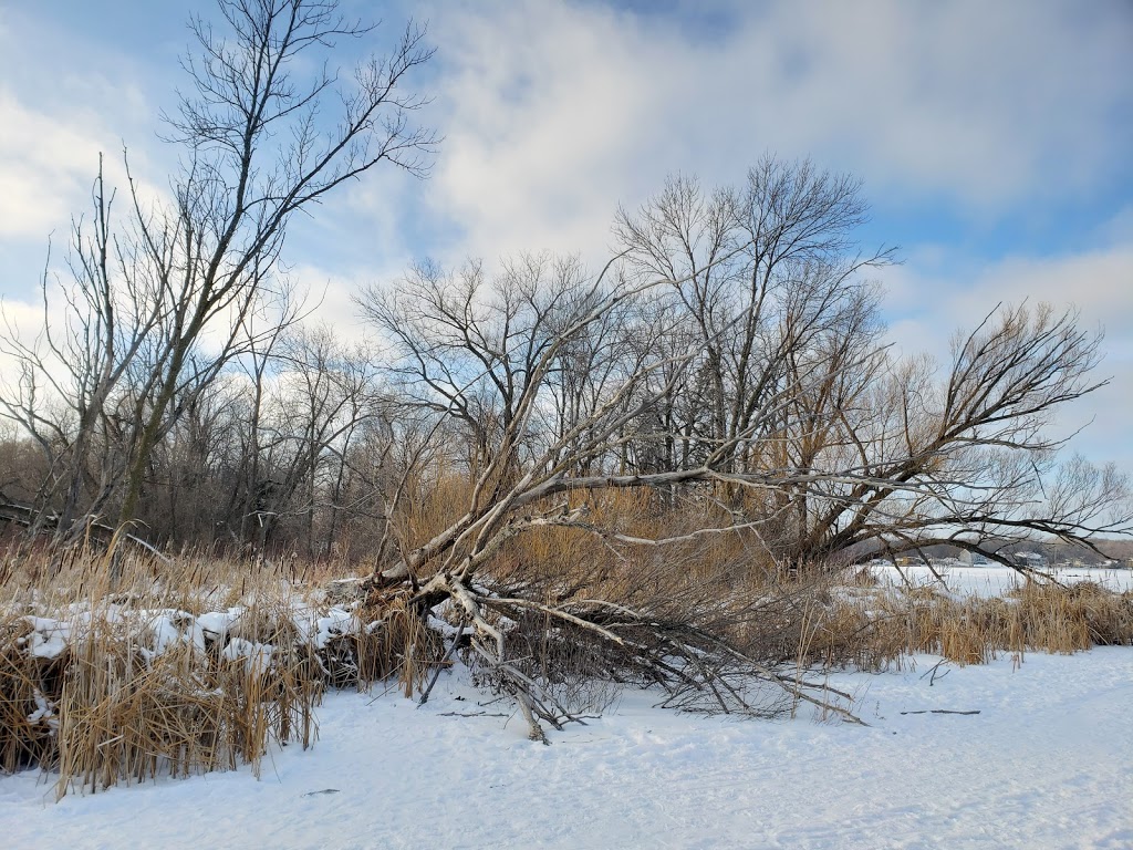 Eagle Lake Regional Park & Golf | 11000 Bass Lake Rd, Plymouth, MN 55442, USA | Phone: (763) 694-7695