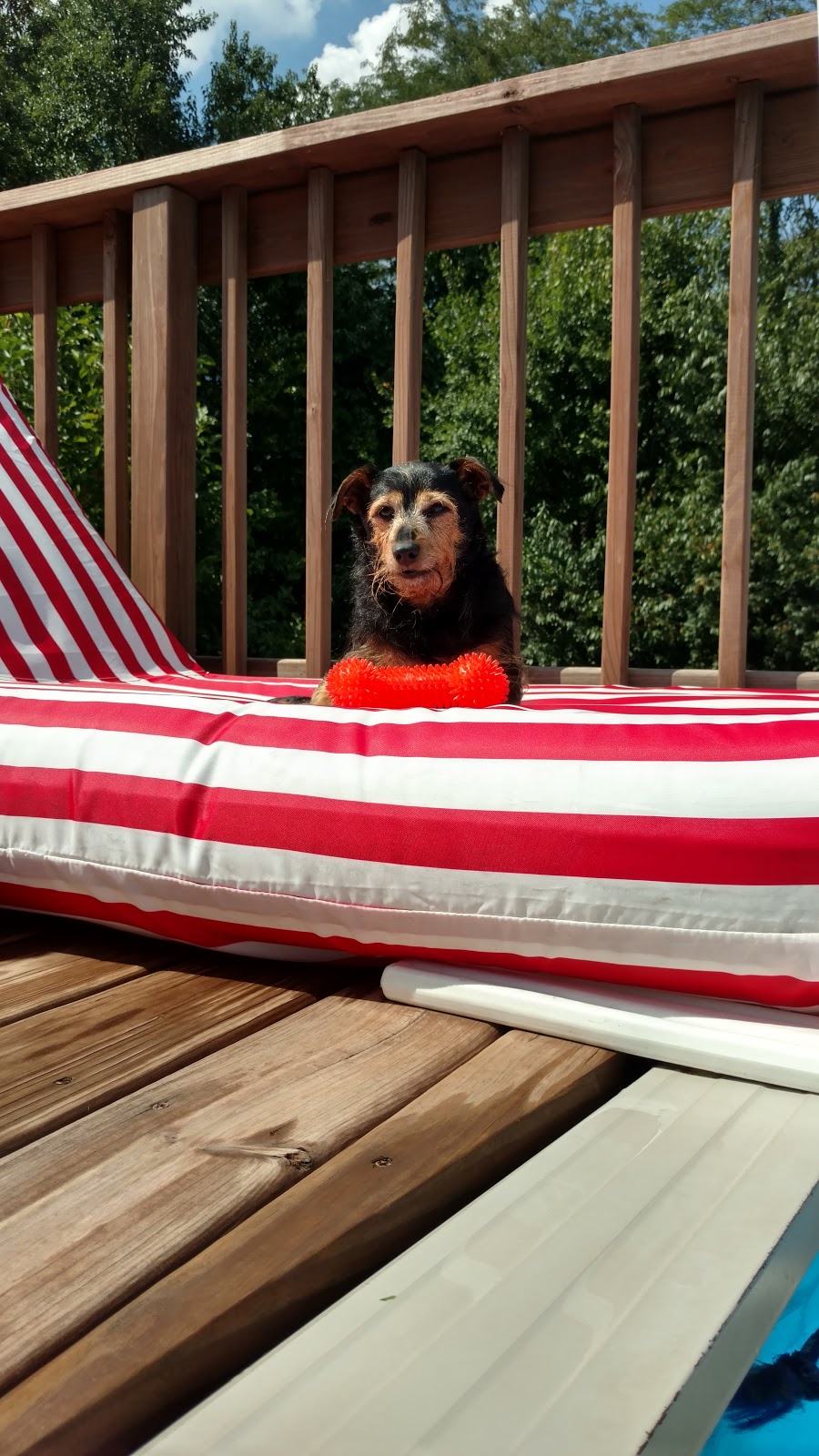 Saunders Parking Systems | 5045 County Rd 15, Marengo, OH 43334, USA | Phone: (614) 267-1945