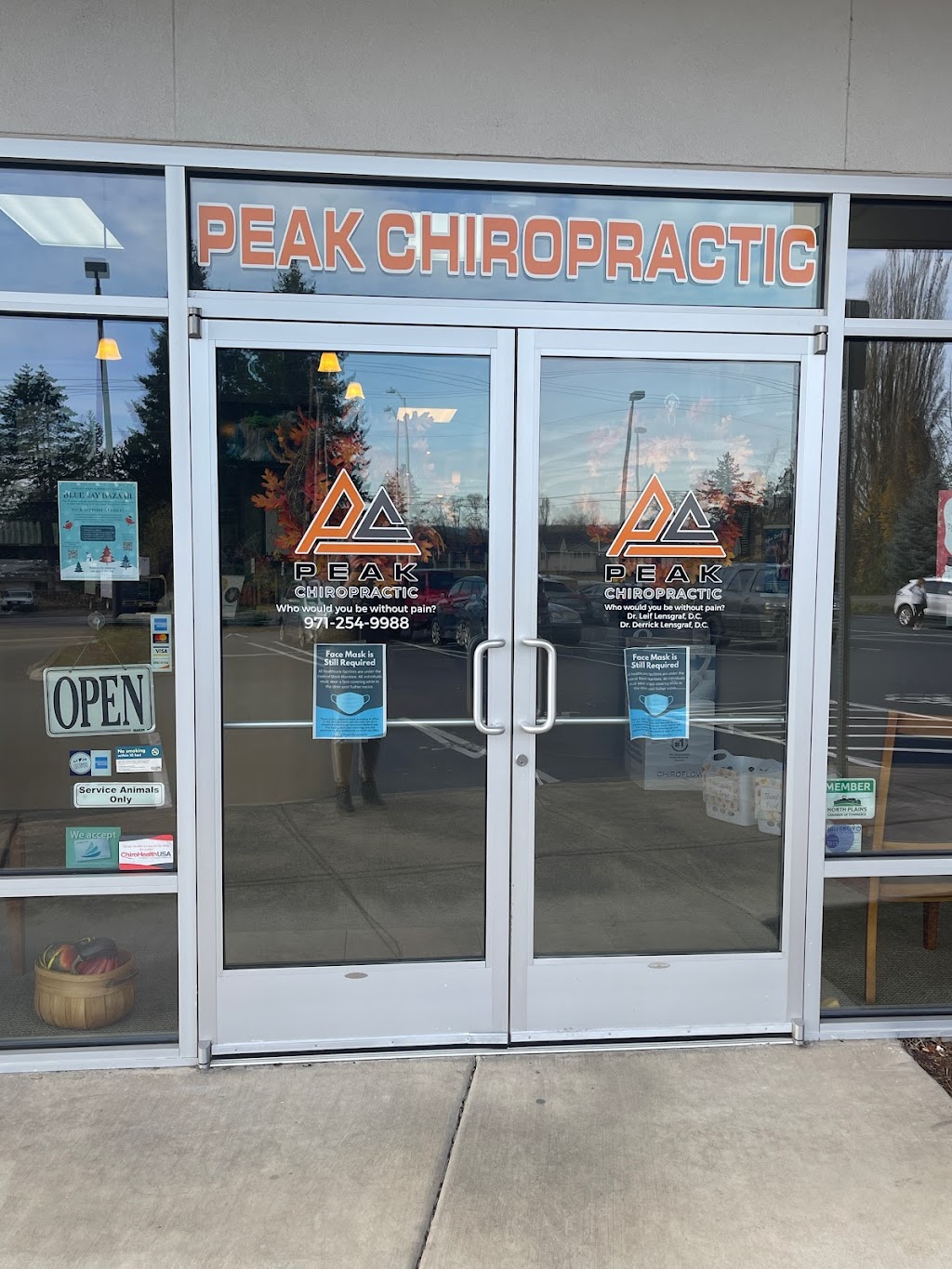 Peak Chiropractic | 10355 NW Glencoe Rd suite b, North Plains, OR 97133, USA | Phone: (971) 254-9988