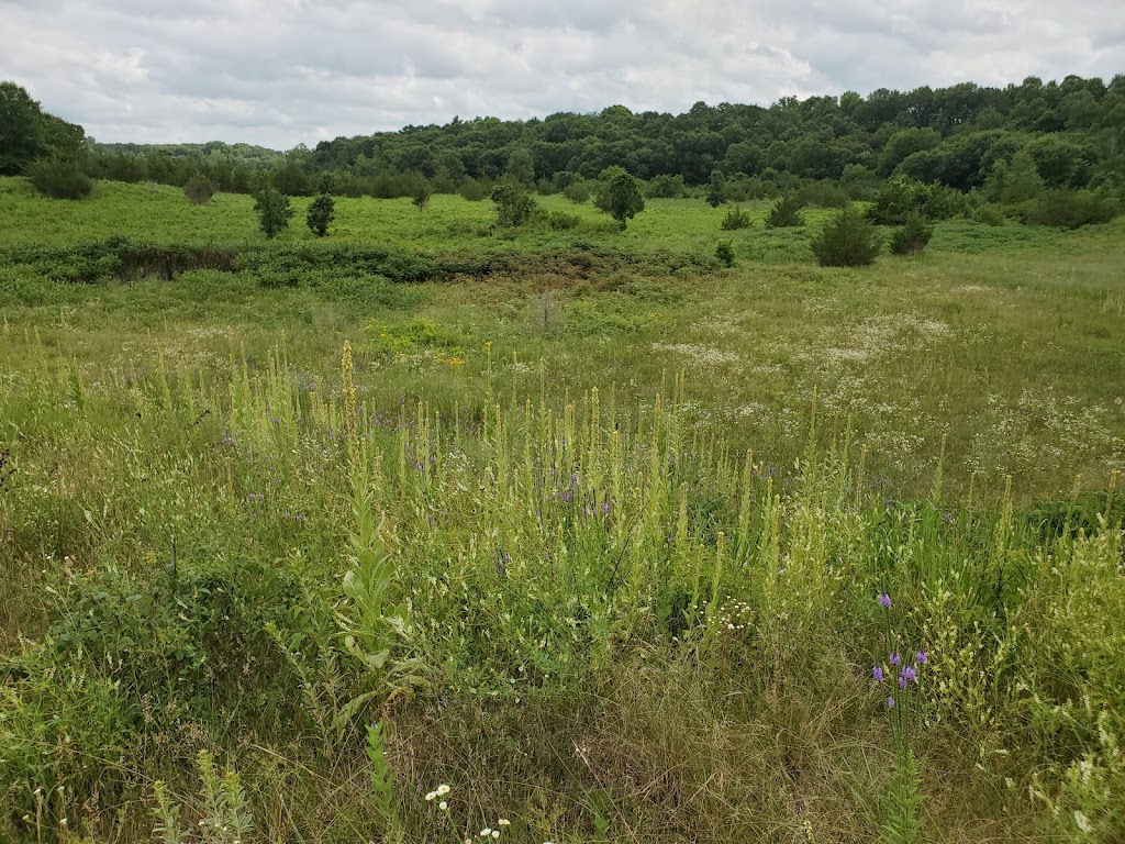 Hastings Sand Coulee Scientific and Natural Area (SNA) | Glacier Way, Hastings, MN 55033, USA | Phone: (651) 259-5800