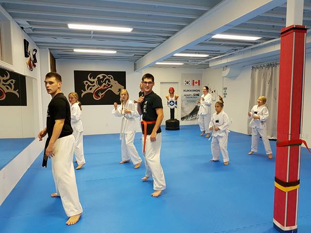 Tyves Taekwondo & training Studio | 37 Sandalwood Cres, St. Davids, ON L0S 1P0, Canada | Phone: (905) 321-9938