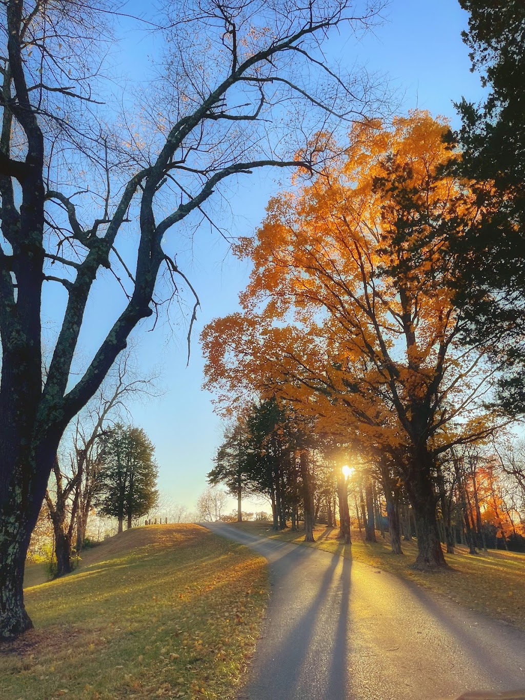 Scenic Overlook, Pere Marquette State Park | Grafton, IL 62037, USA | Phone: (618) 786-2331