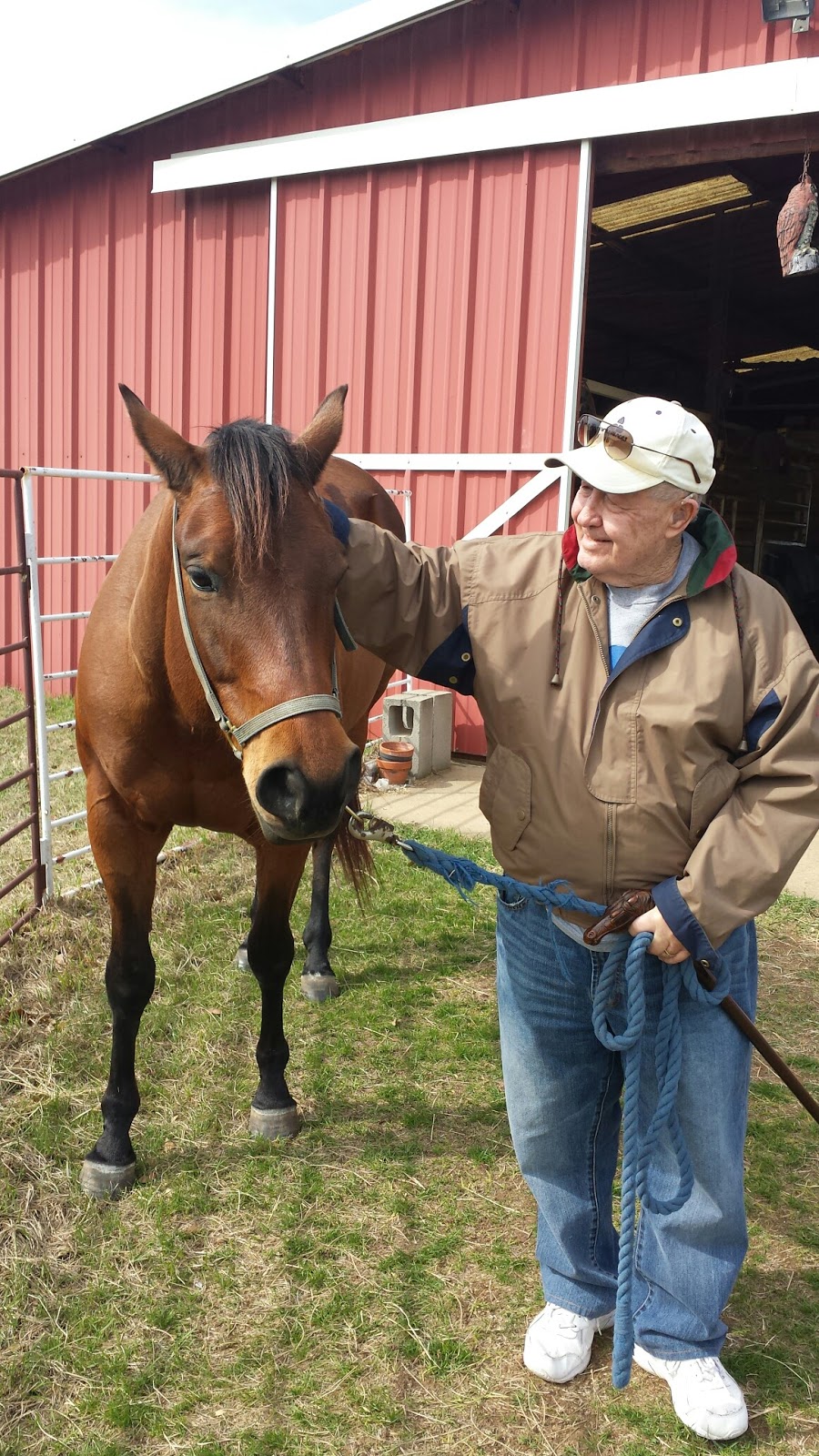 Legend Equestrian Services | 5548 County Rd 907, Godley, TX 76044, USA | Phone: (817) 770-7371