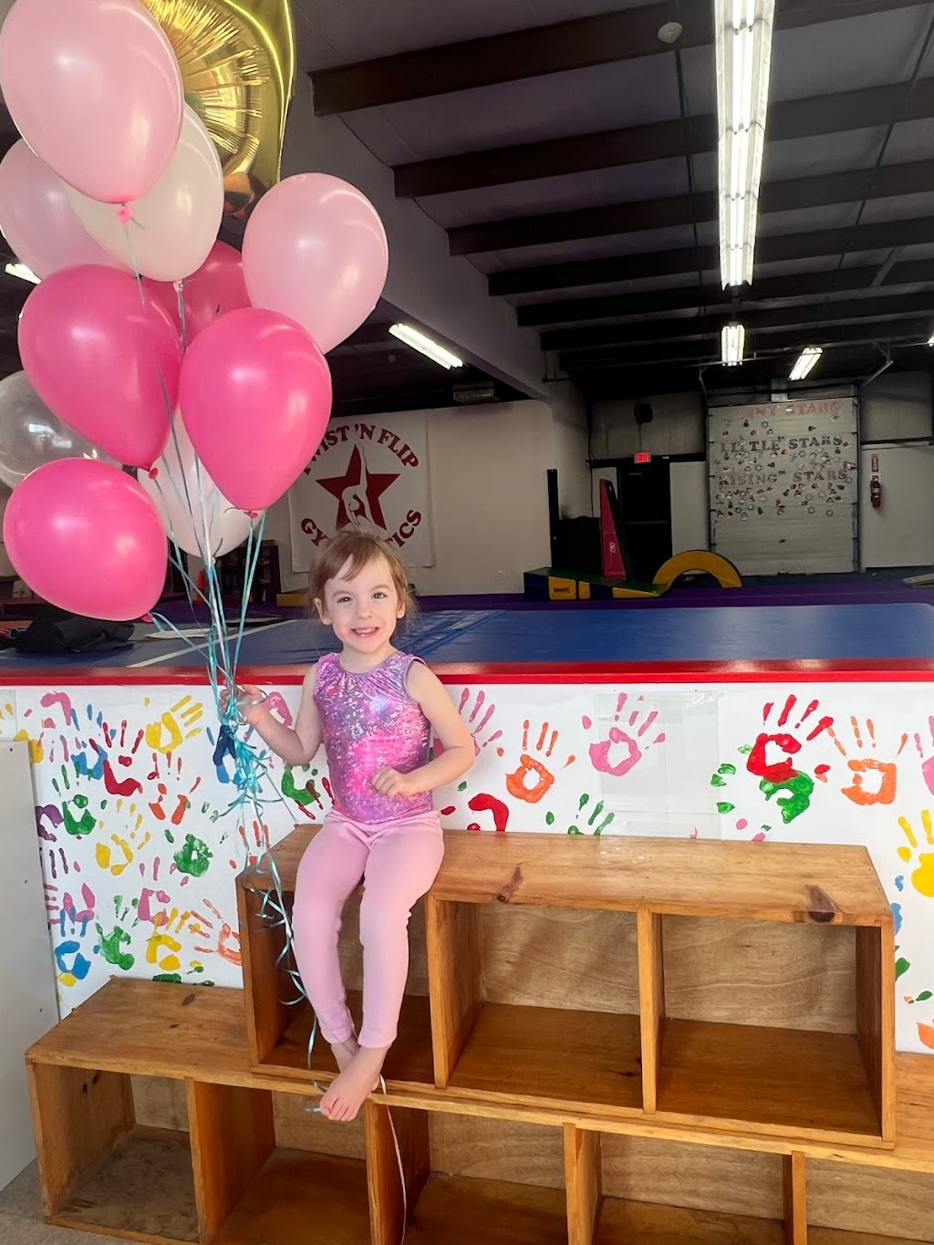 TwistN Flip Gymnastics | 1650 Crane St, Schenectady, NY 12303, USA | Phone: (518) 982-1532