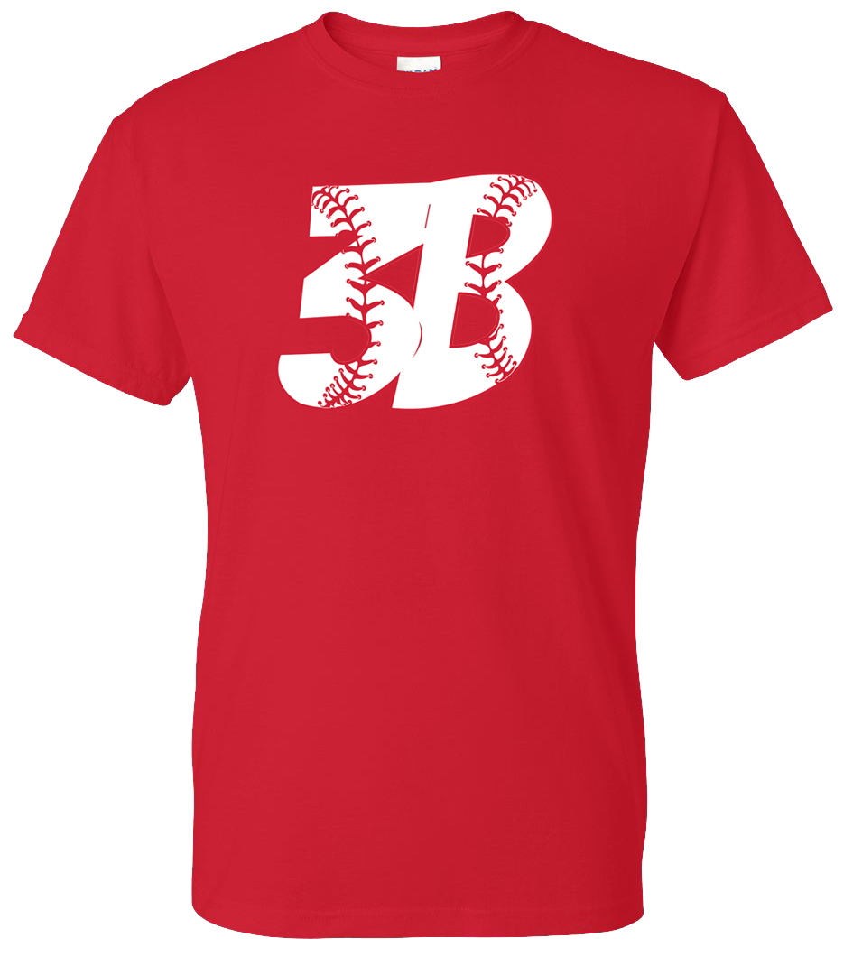 Building Block Baseball | 2040 W State St, New Castle, PA 16101, USA | Phone: (724) 714-1941