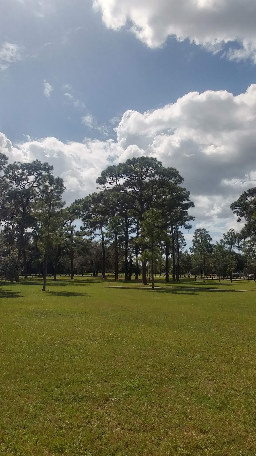 Rowlett Dog Park | 8401-8549 N Rowlett Park Dr, Tampa, FL 33604, USA | Phone: (813) 274-8615