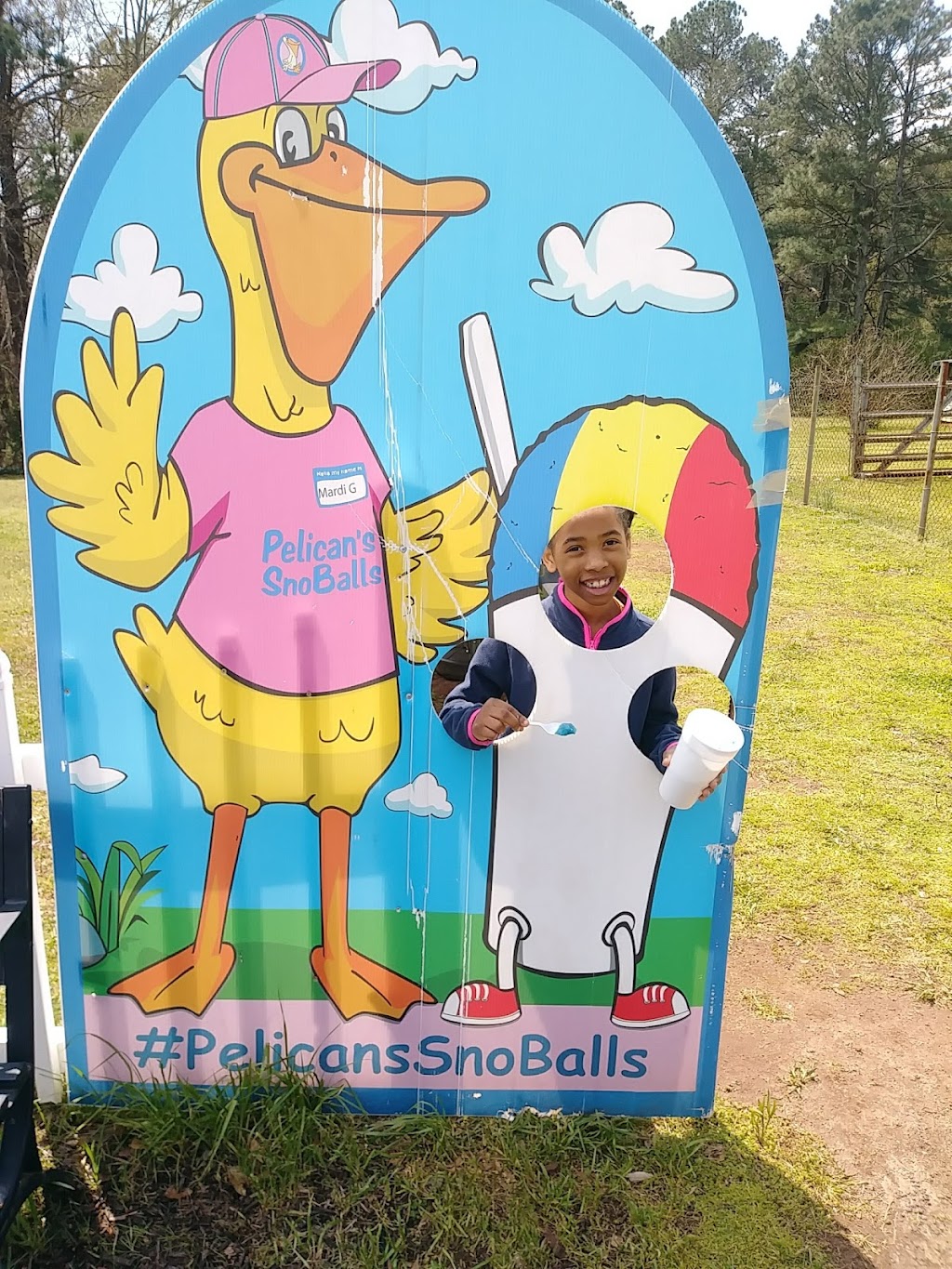 Pelicans Snoballs: Kennesaw | 3081 Old 41 Hwy NW, Kennesaw, GA 30144, USA | Phone: (770) 504-6708