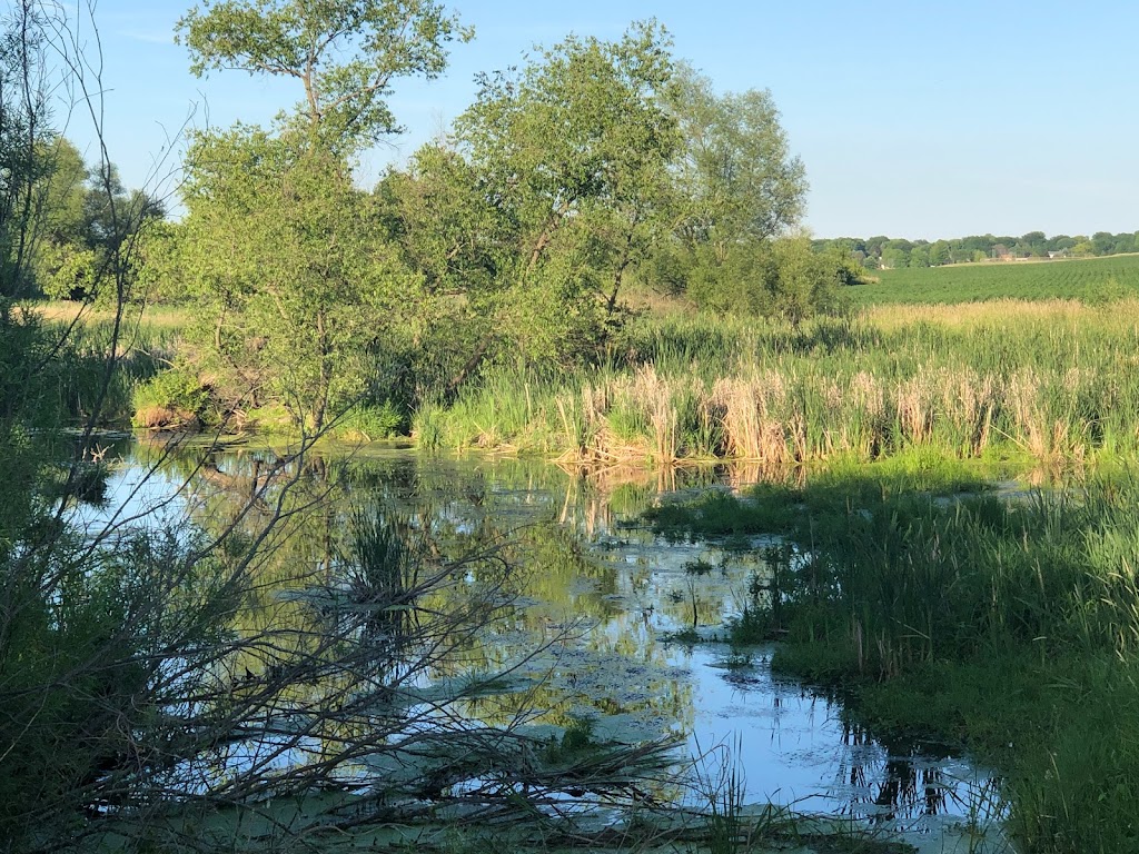 Waunakee Marsh State Wildlife Management Area | 6680 Harvest Hill Rd, Waunakee, WI 53597, USA | Phone: (608) 849-5874