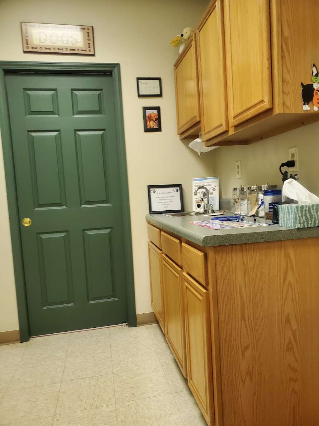 Bayberry Veterinary Care | 637 Loudon Rd # 4, Latham, NY 12110, USA | Phone: (518) 783-9282