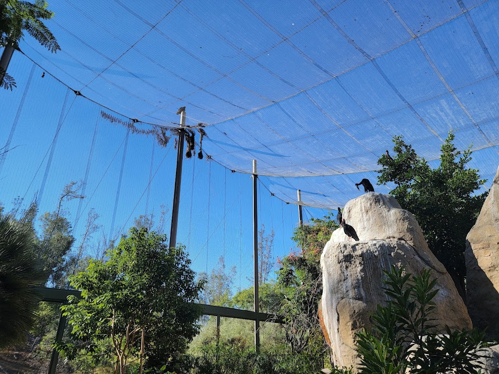 Wings of the World Aviary | Escondido, CA 92027 | Phone: (619) 231-1515