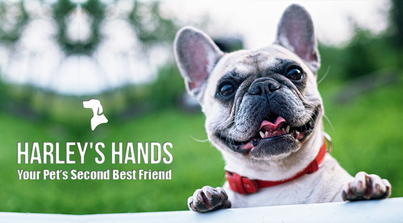 Harleys Hands Pet Sitting | 5191 Parkside Ct, Hamilton, OH 45011, USA | Phone: (513) 581-7162