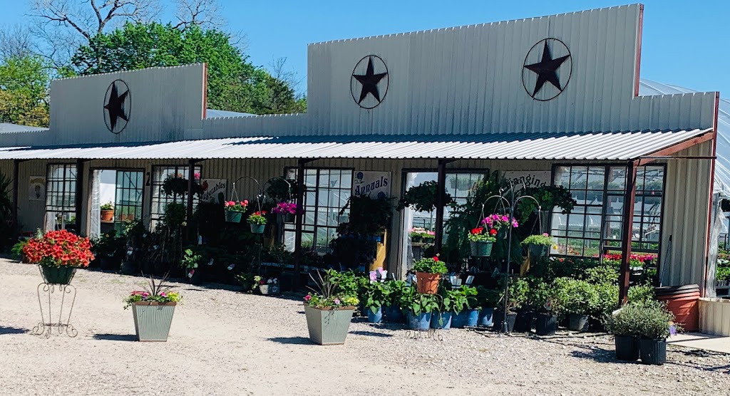 Spring Creek Flowers and Nursery | 10140 S Collinsville Frwy, #377, Collinsville, TX 76233, USA | Phone: (903) 429-0320