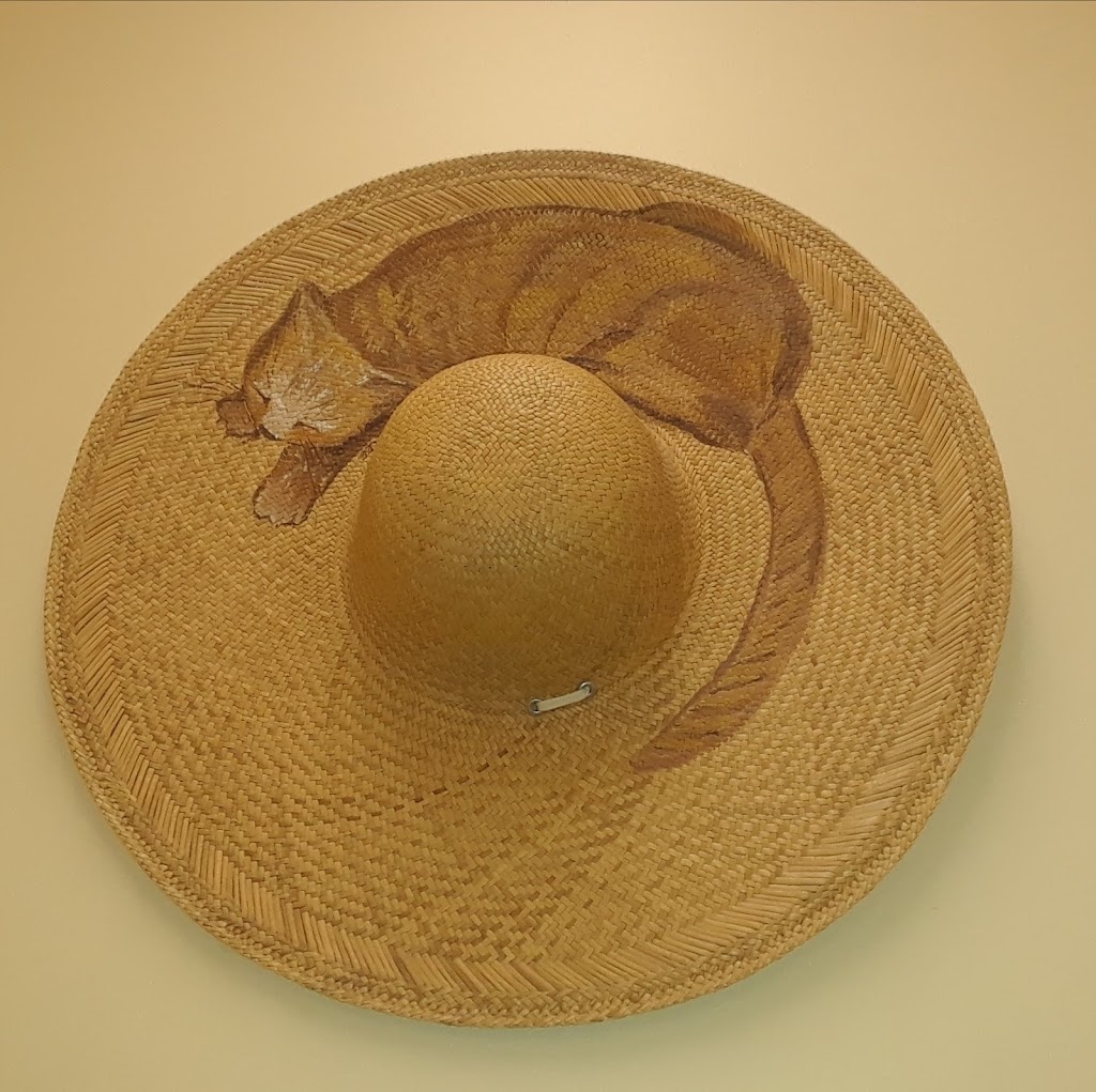 Cat Hospital At Towson | 6701 York Rd, Baltimore, MD 21212, USA | Phone: (410) 377-7900 Cat Hospital At Towson | 6701 York Rd, Baltimore, MD 21212, USA | Phone: (410) 377-7900