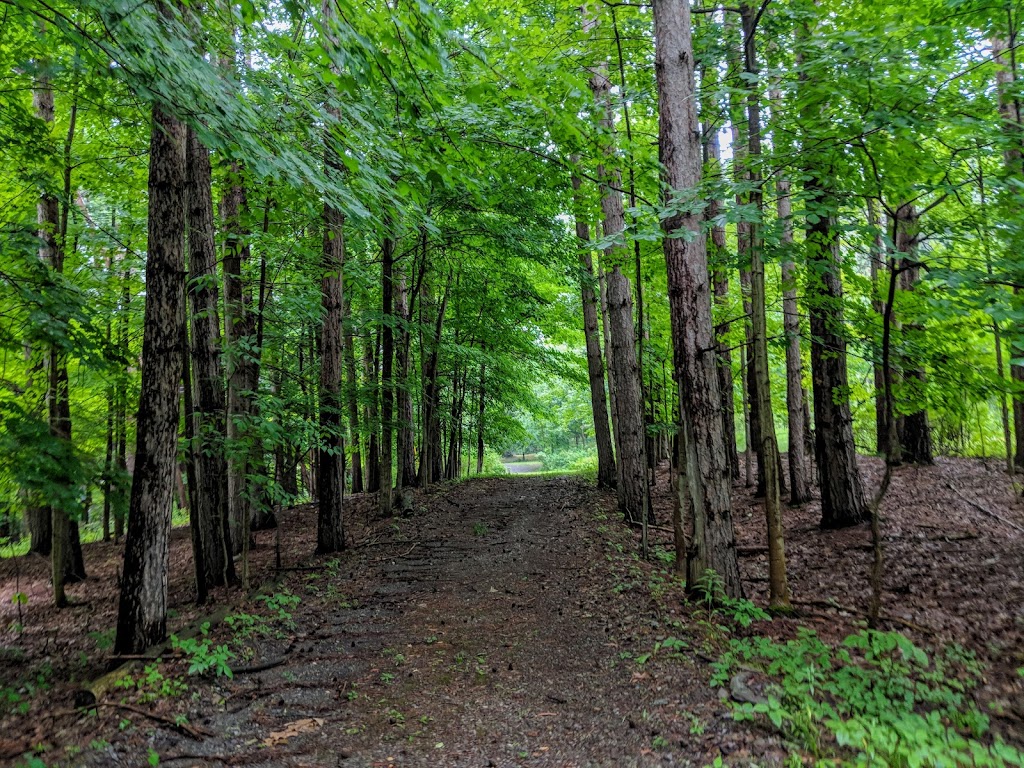 Kenneglenn Scenic and Nature Preserve | 11663 Strykersville Rd, East Aurora, NY 14052, USA | Phone: (716) 687-1225