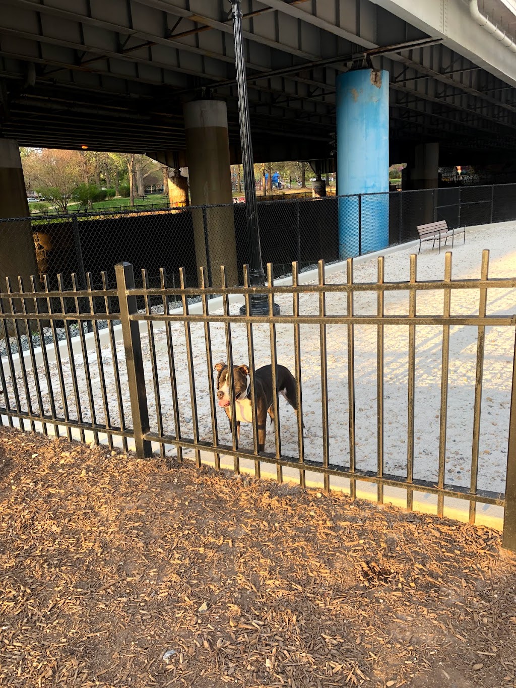 Navy Yard Dog Park | 101 H St SE, Washington, DC 20003, USA | Phone: (202) 371-1220