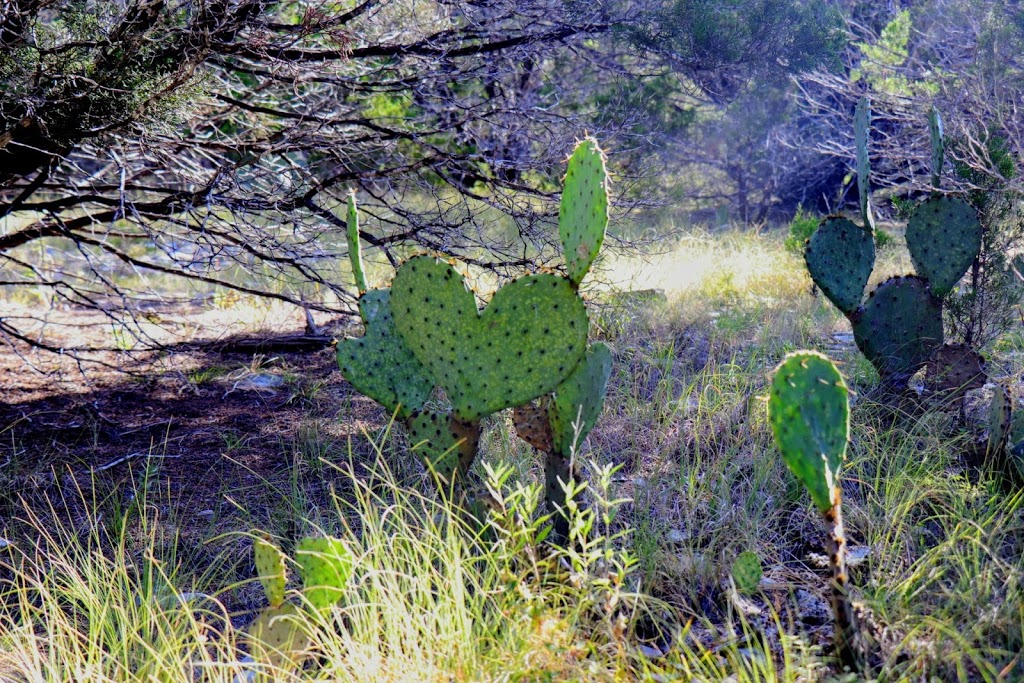 Warbler Vista | Balcones Canyonlands National Wildlife Refuge Farm to Market Rd 1431,, Marble Falls, TX 78654, USA | Phone: (513) 339-9432